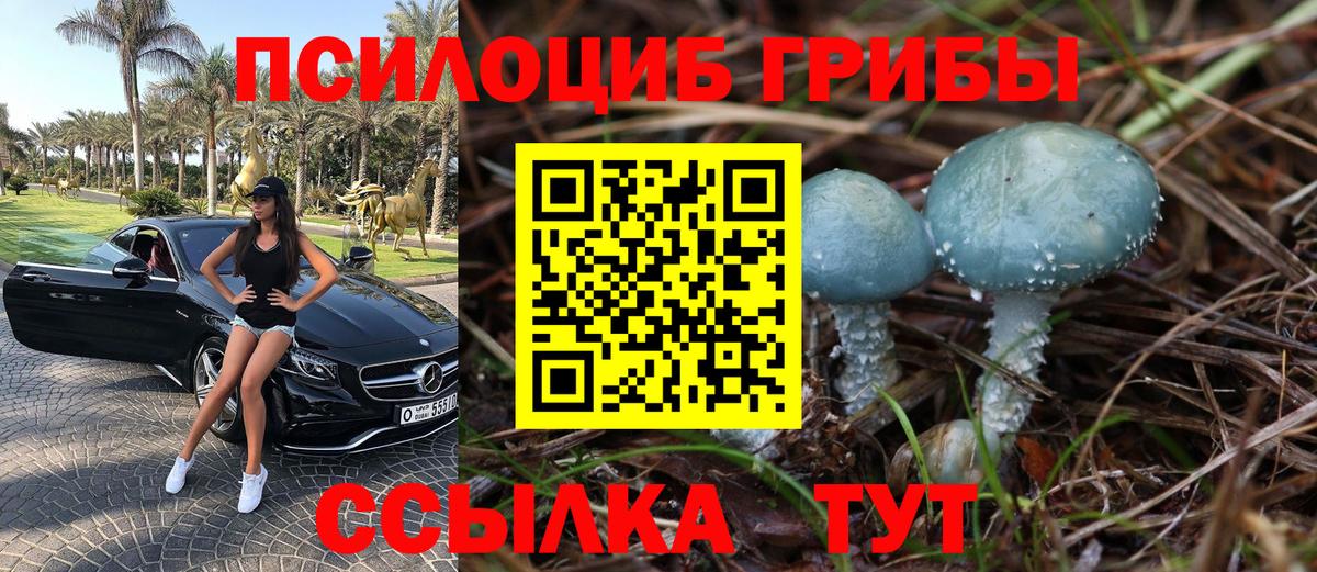 Галлюциногенные грибы мицелий  Вход с VPN  Лесосибирск 
